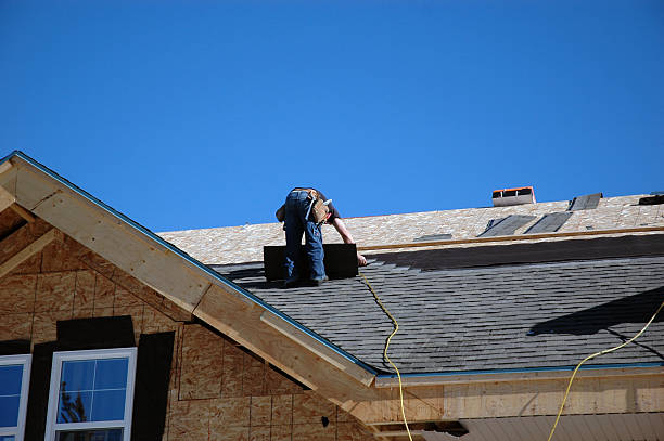 Best Sheet Metal Roofing  in Bridgewater, VA