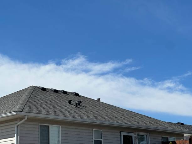 Best Storm Damage Roof Repair  in Bridgewater, VA